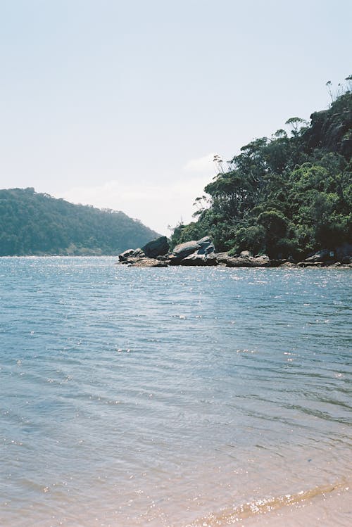 A body of water with a sandy shore