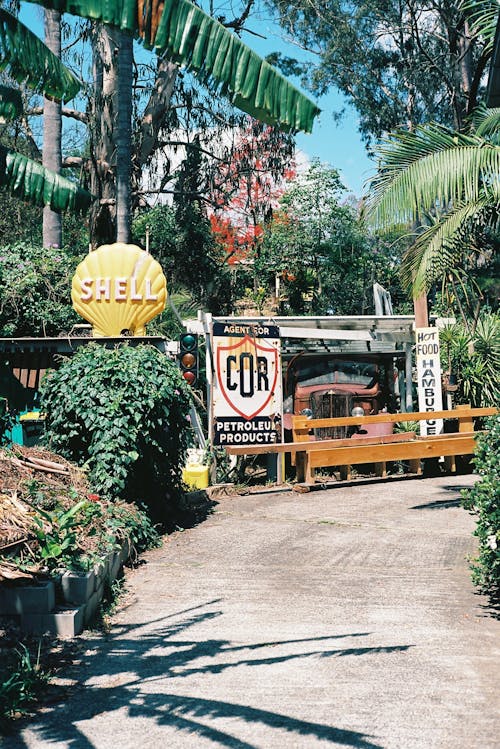 A path leading to a cafe with palm trees