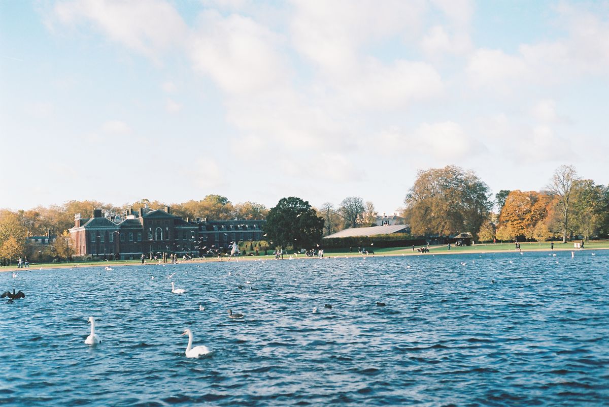Hyde Park or Kensington Gardens Break