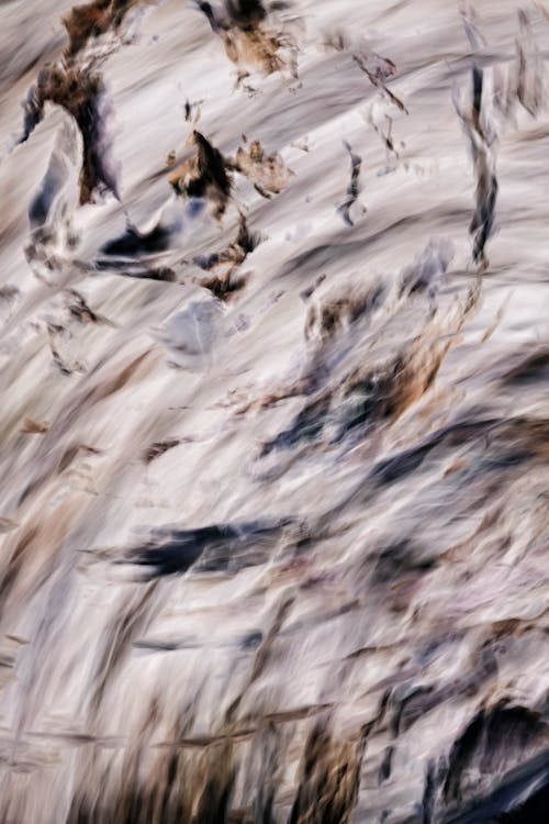 Бесплатное стоковое фото с абстрактная природа, абстрактный, вдохновленный природой