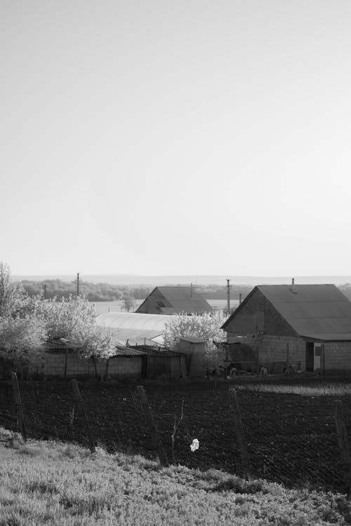 Imagine de stoc gratuită din acasă, agricultură, arbore