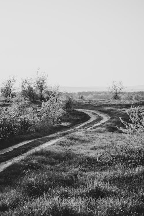 A black and white photo of a dirt road