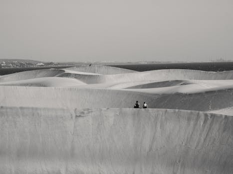 Discover the tranquil beauty of dunes in Las Palmas, captured in black and white with detailed textures.