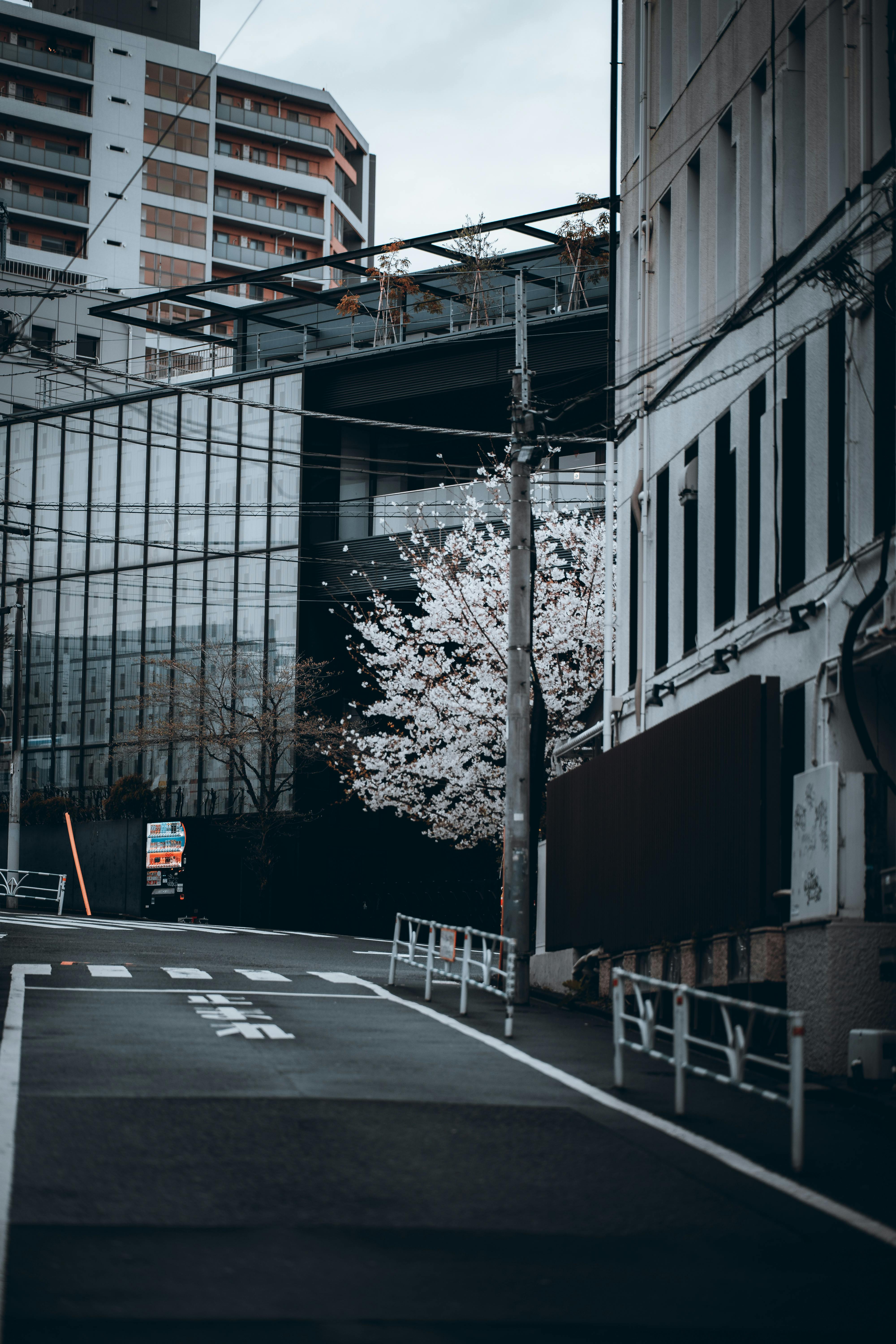 Japan Zip Code Tokyo Photos, Download The BEST Free Japan Zip Code