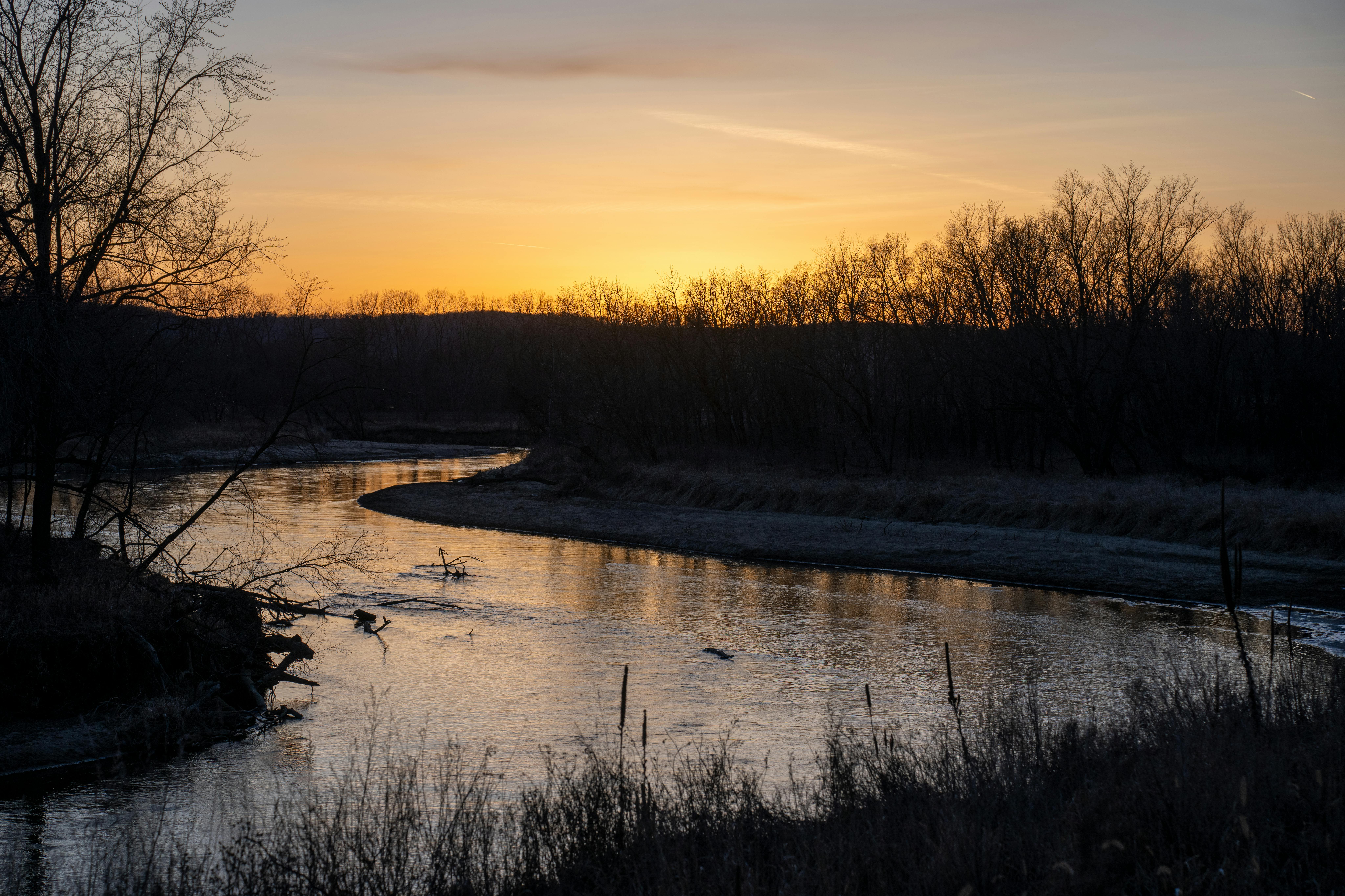 Minnesota Families Affected by Changes to Commercial Insurance Coverage for Home Care Nursing Services — Photo by Tom Fisk on