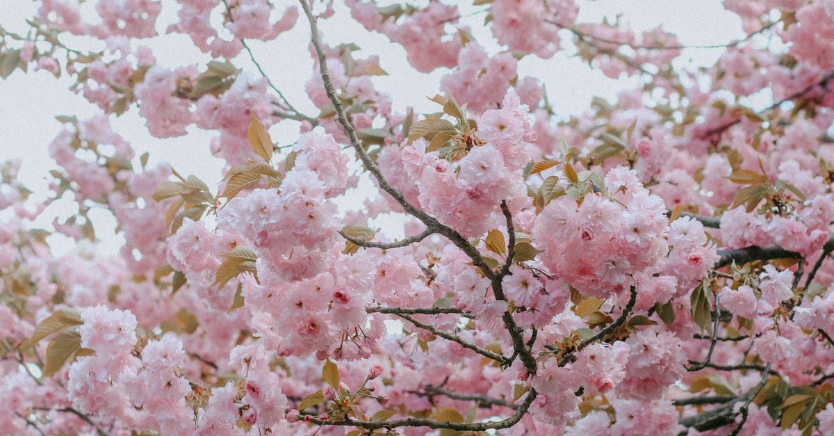 The first day of spring