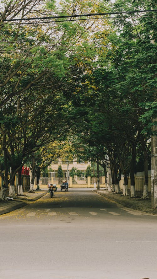 公園, 原本, 大街 的 免費圖庫相片