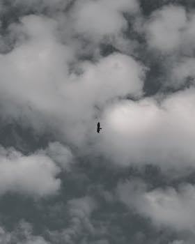 image.mefiz.com