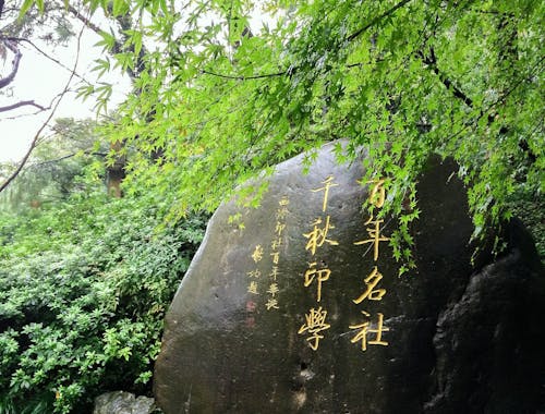 Free stock photo of beautiful, carved stones, forest