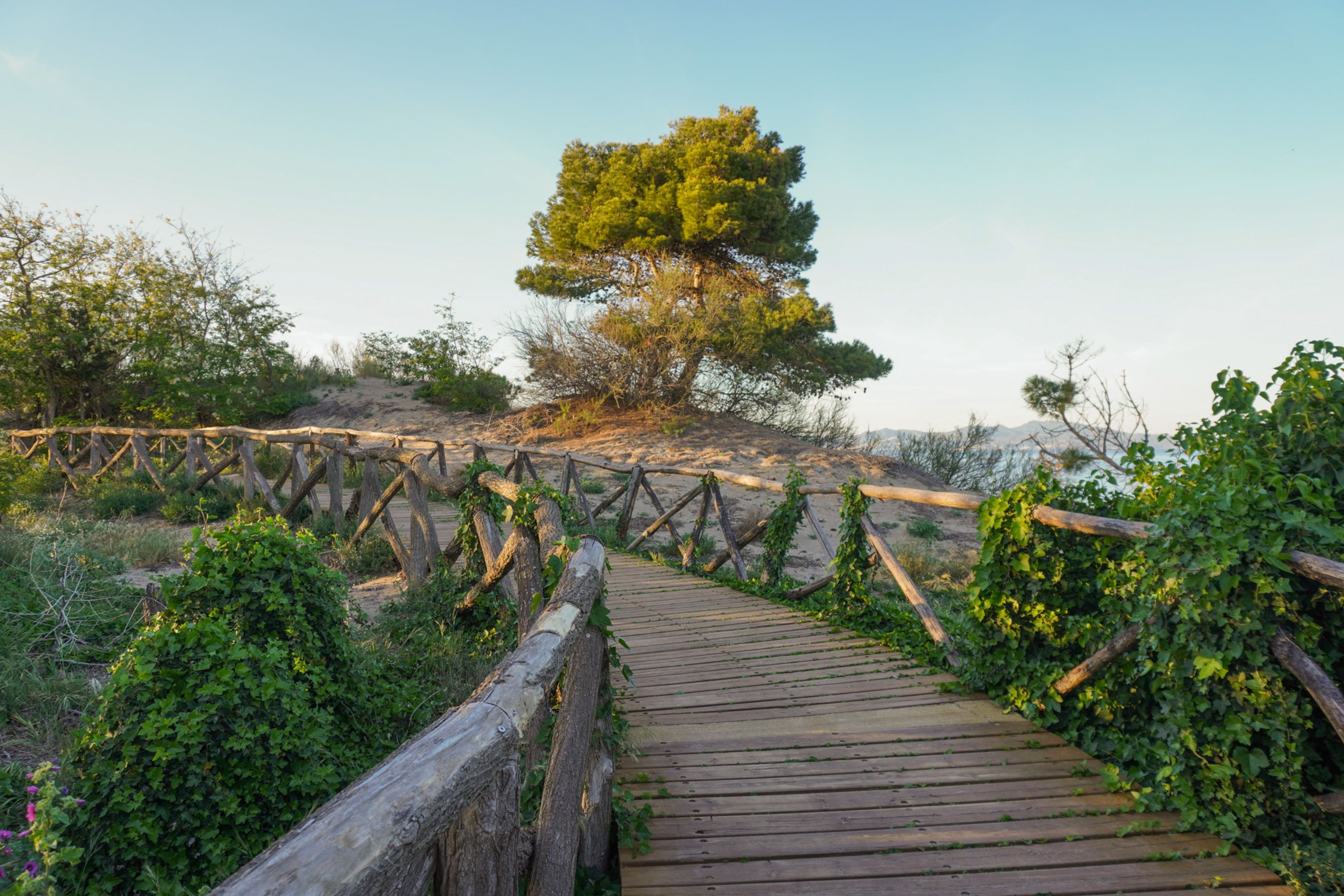 Houten tuinschutting in natuurlijke omgeving
