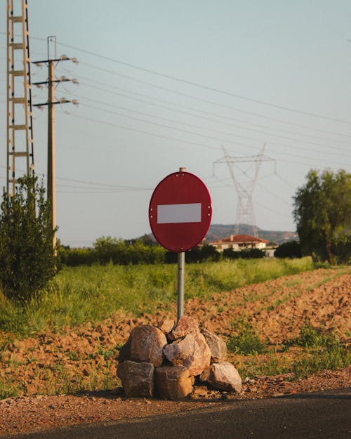 Kostenloses Stock Foto zu außerorts, baum, draht