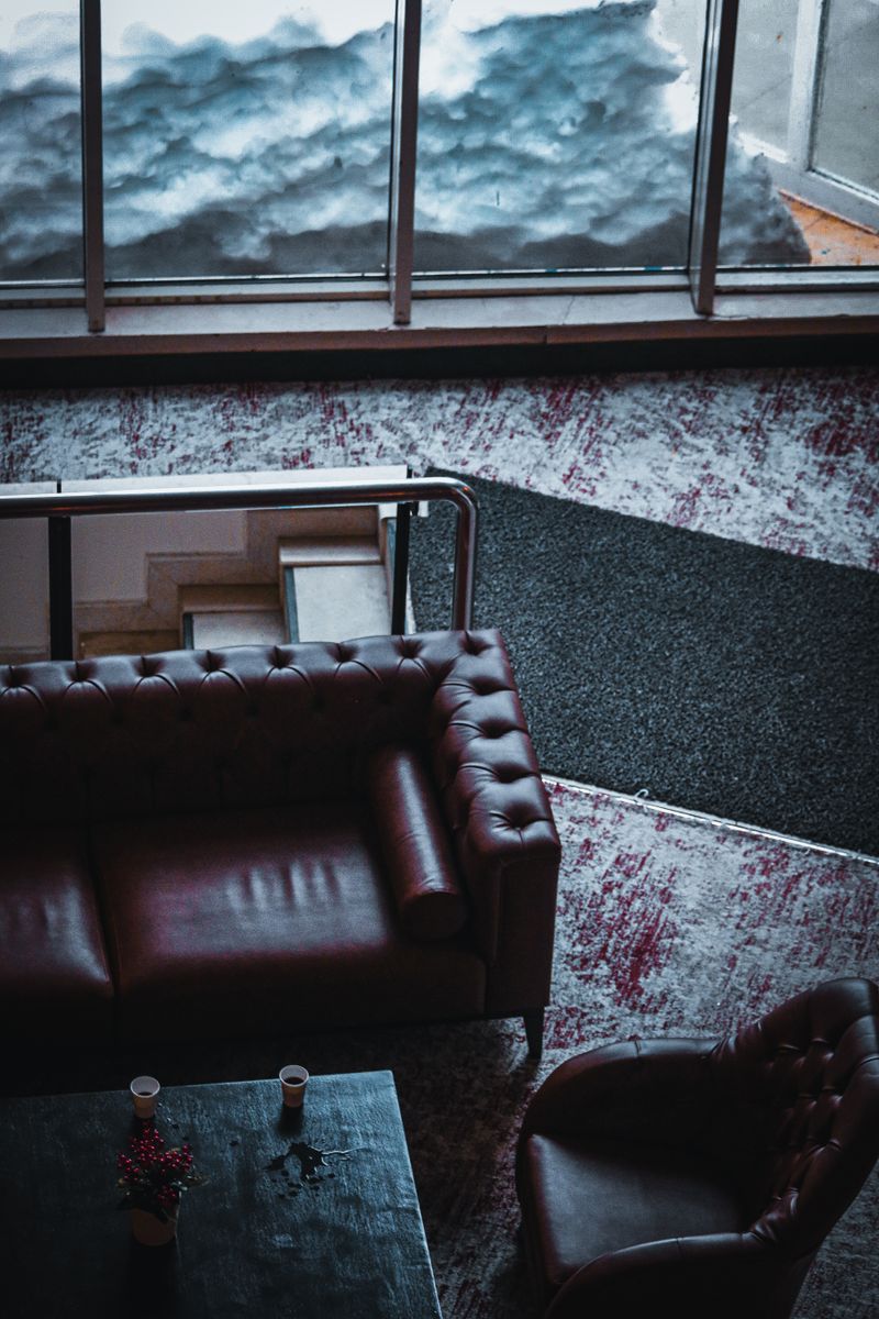 Living Room Leather Chair