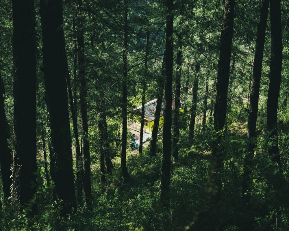 Forest cottage stay near the park