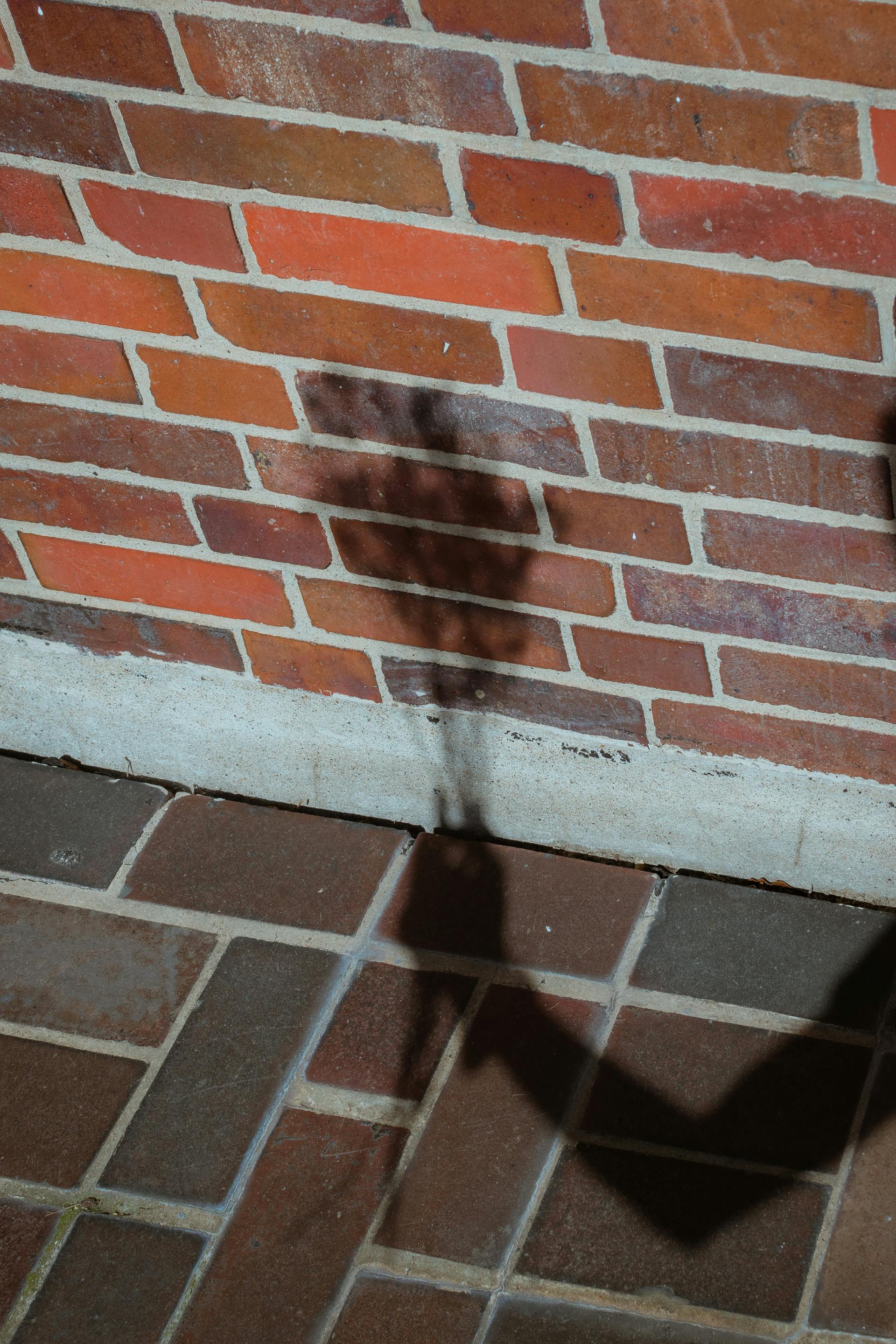 Shadow of a hand holding a bouquet against a textured brick wall, creating an urban aesthetic.