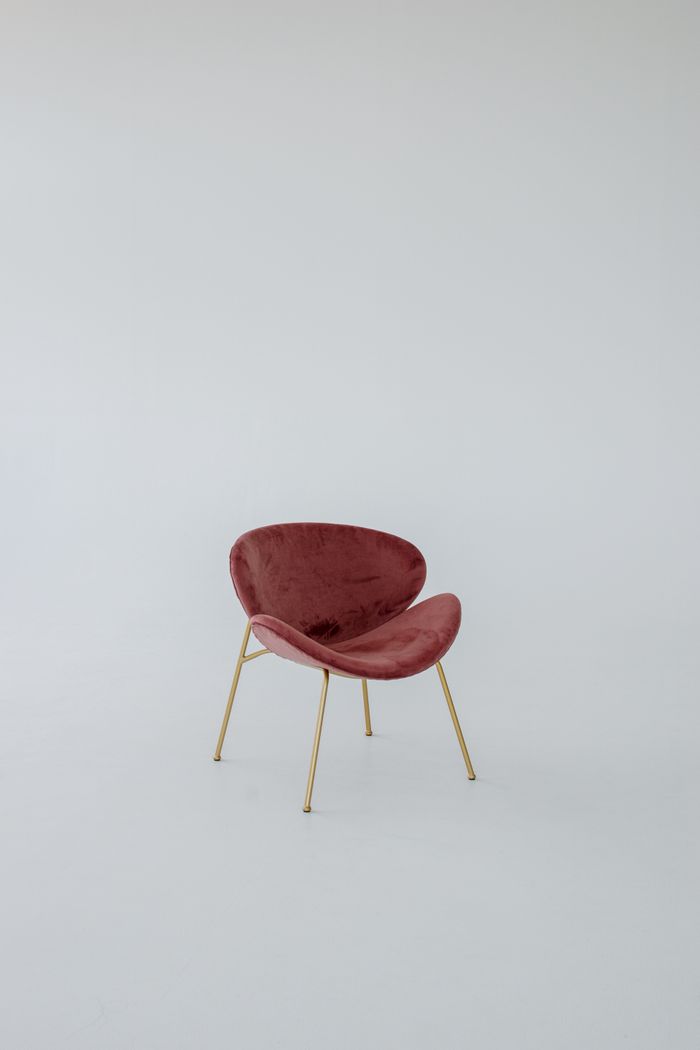 Rose velvet accent chair with brass legs on a pale backdrop, photo by cami on Pexels
