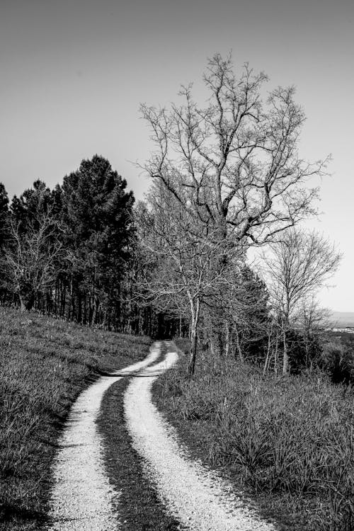 Black and white photo of a dirt road