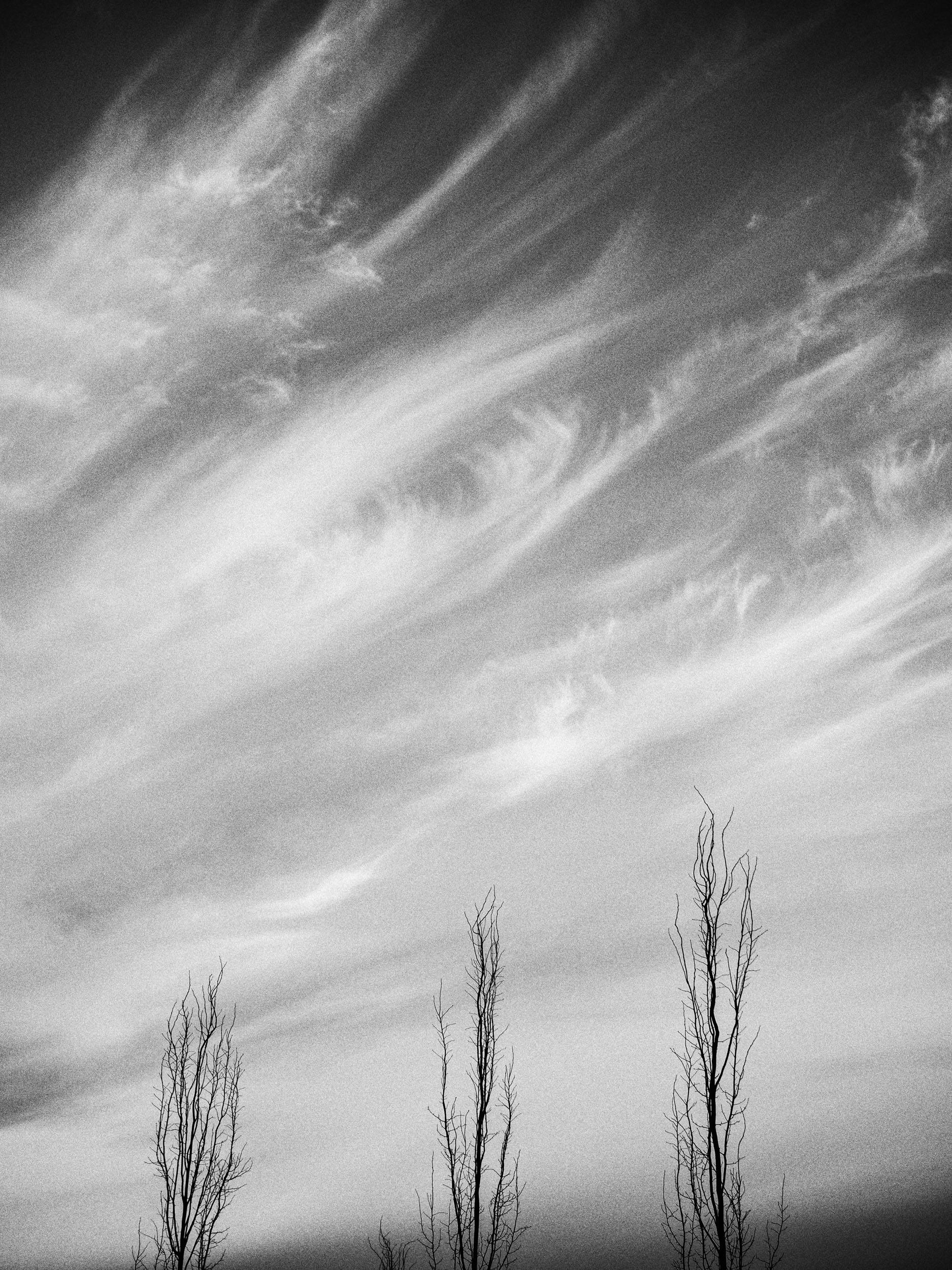 Black and white photo of wispy clouds over bare trees, capturing nature's serene beauty in Finland.