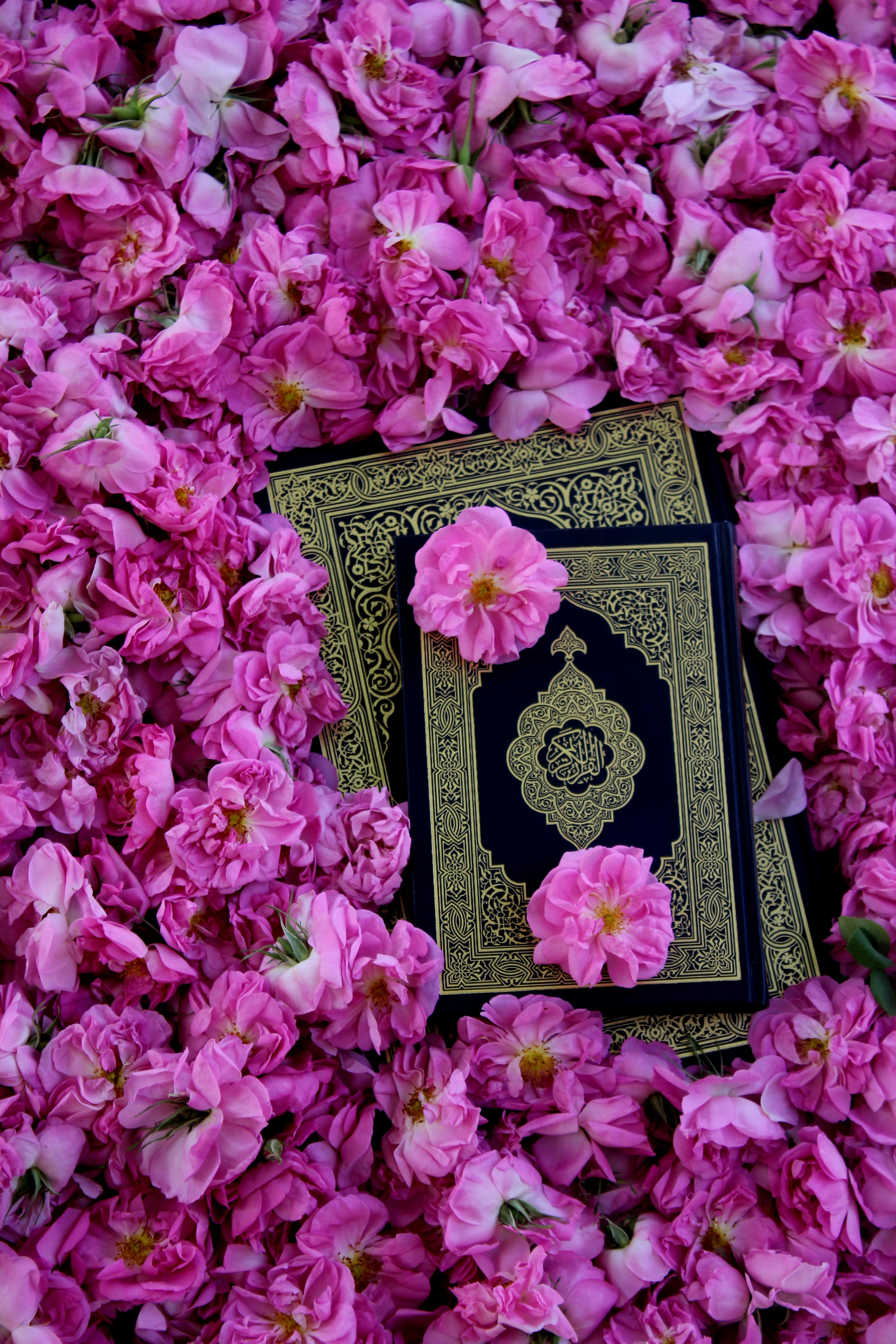 [ColoSach]-top-view-of-an-intricately-designed-holy-book-surrounded-by-vibrant-pink-flowers,-symbolizing-peace-and-spirituality.