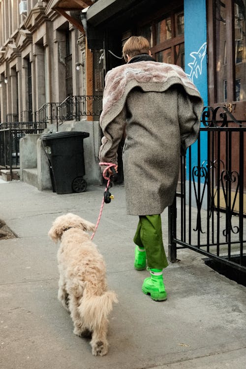 Person walking a dog