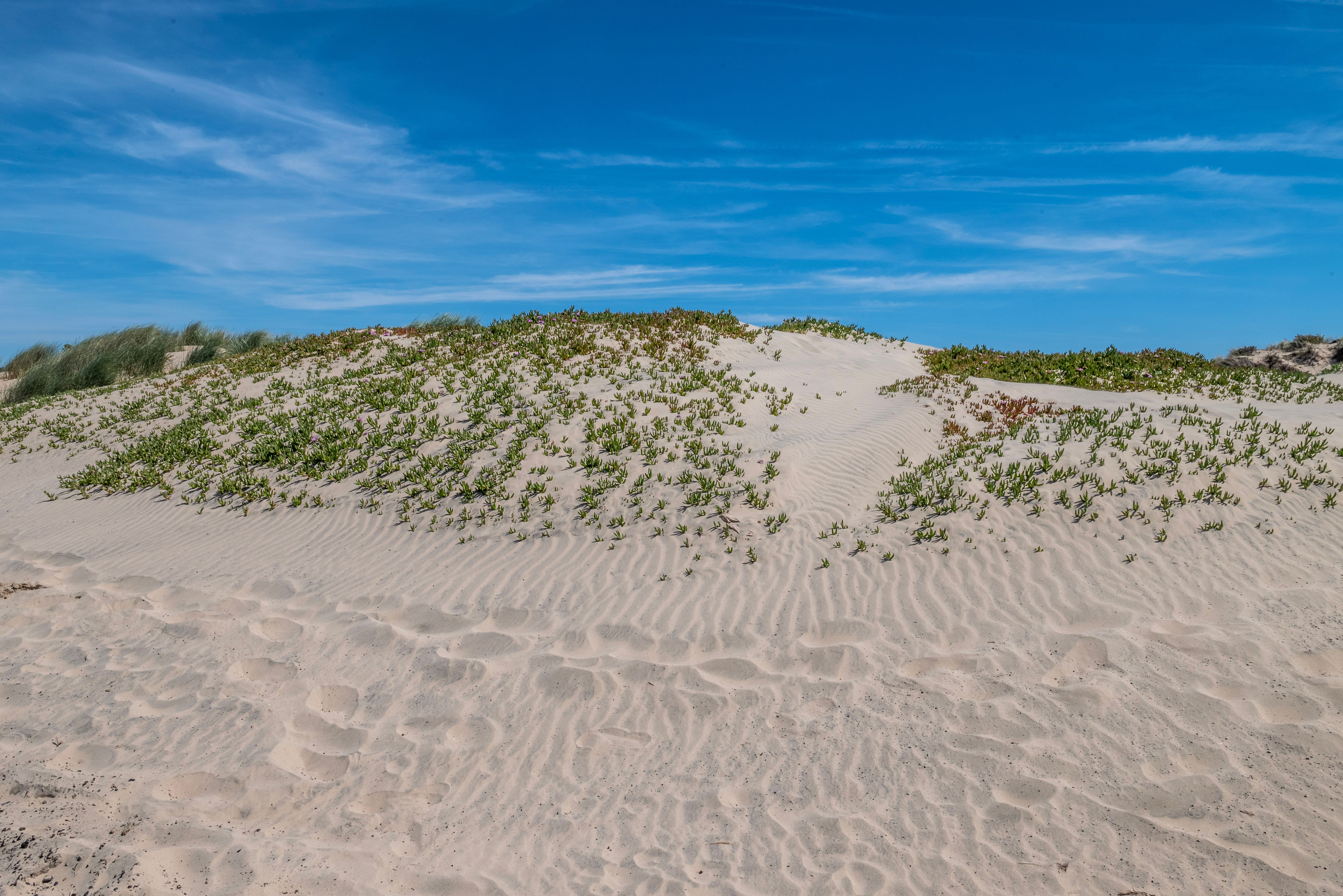 La Serena Dune Beach view 2