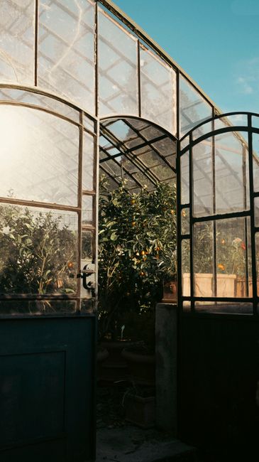 Open greenhouse doors reveal lush plants bathed in sunlight.