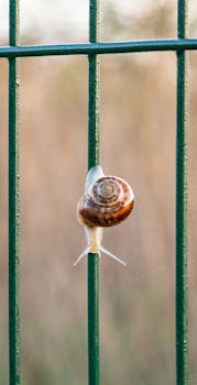 A close-up of a snail climbing a green fence with a blurred natural background.