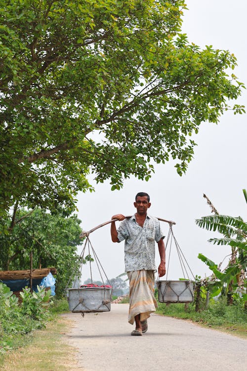 Бесплатное стоковое фото с бангладеша, Взрослый, деревня