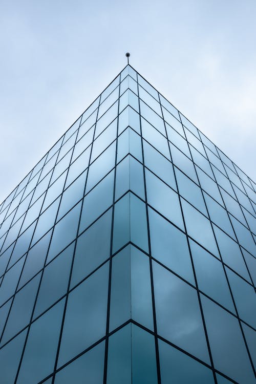 A bird flies over a building with glass windows