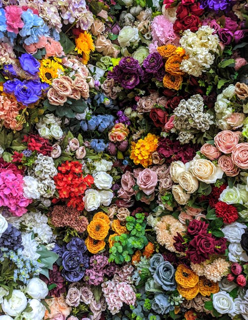 A wall of flowers with many different colors