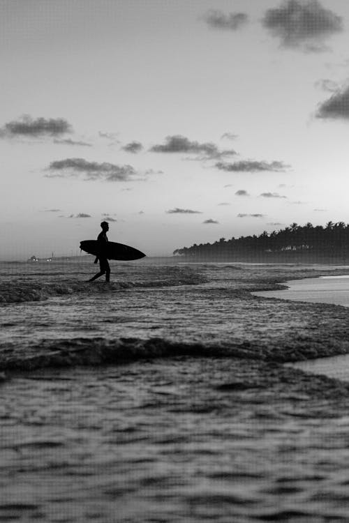 Imagine de stoc gratuită din apă de mare, iubitor de plajă, placă de surf