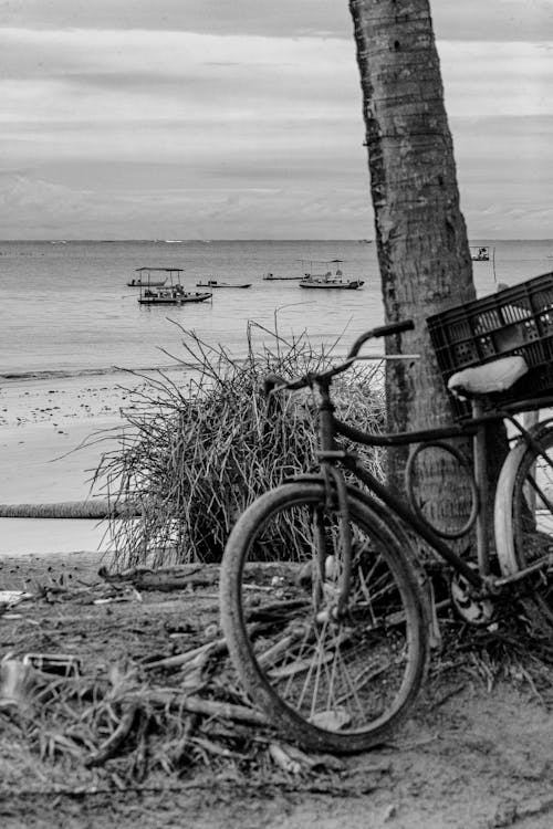 A bicicleta do pescador