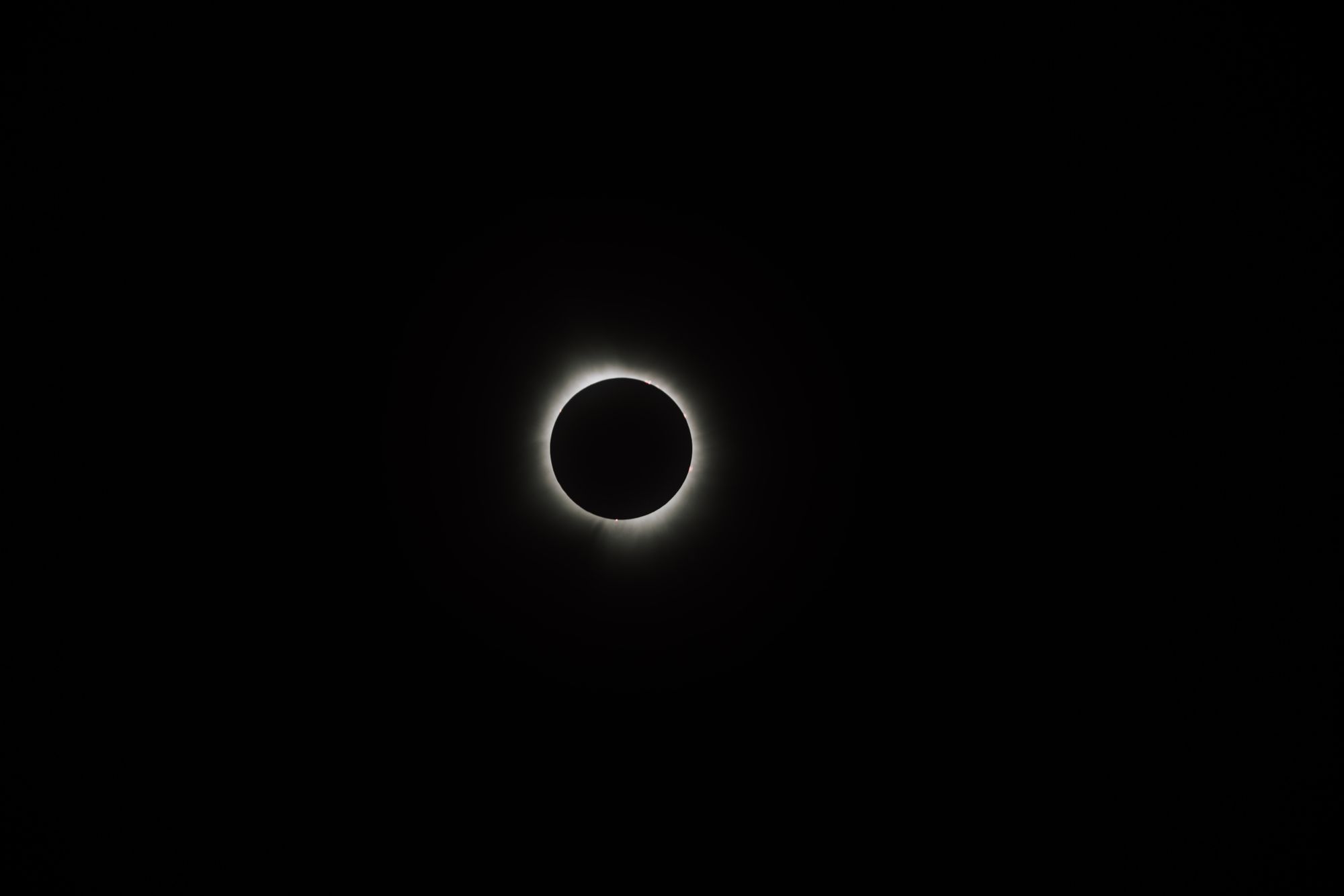 Disco solar oscurecido durante un eclipse, con la corona visible alrededor del borde