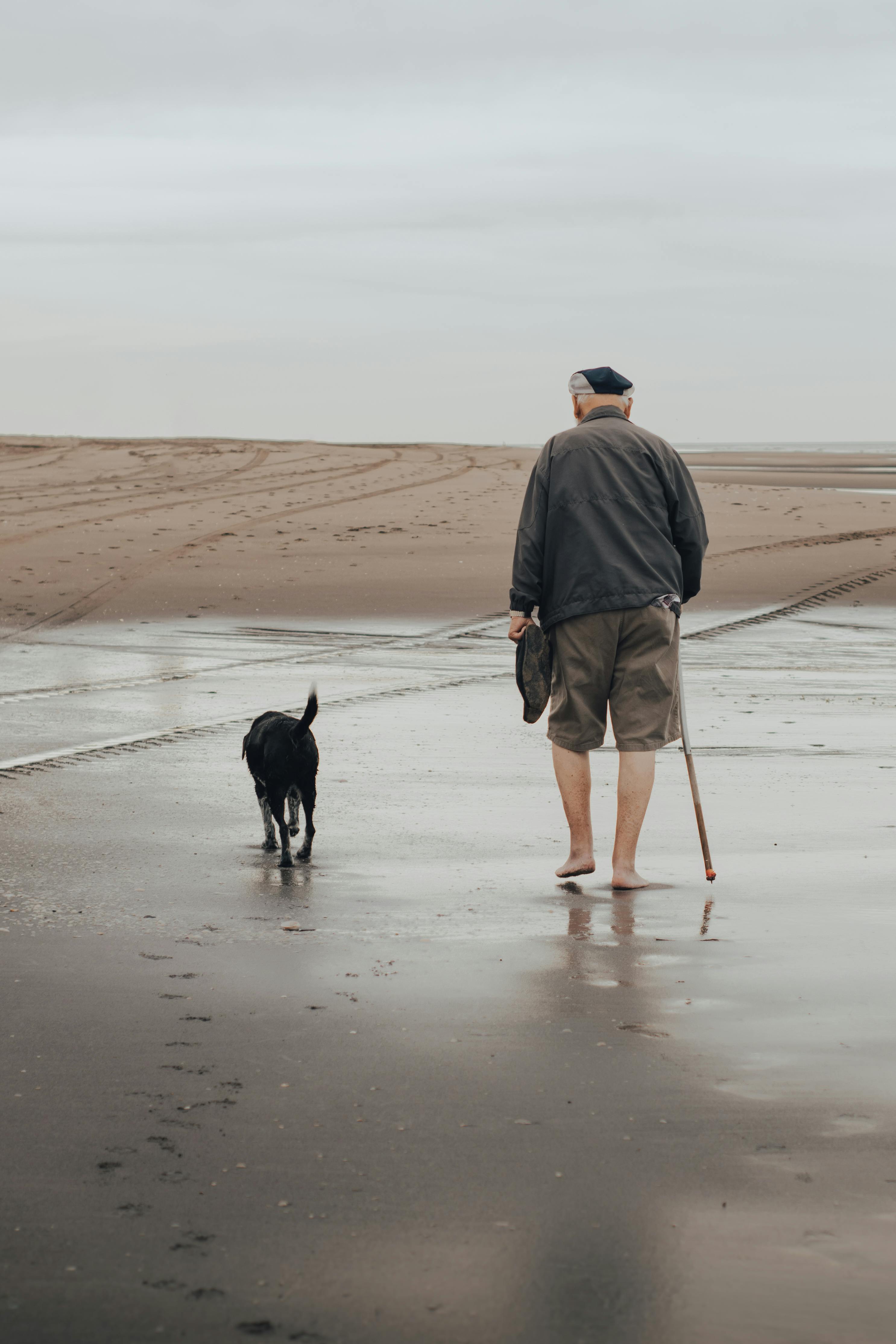 An elderly man walking barefoot with his dog along a tranquil beach, using a cane for support.