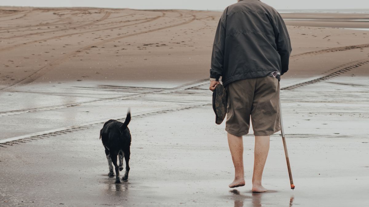 Comment choisir un complément alimentaire naturel pour votre chien en 2026