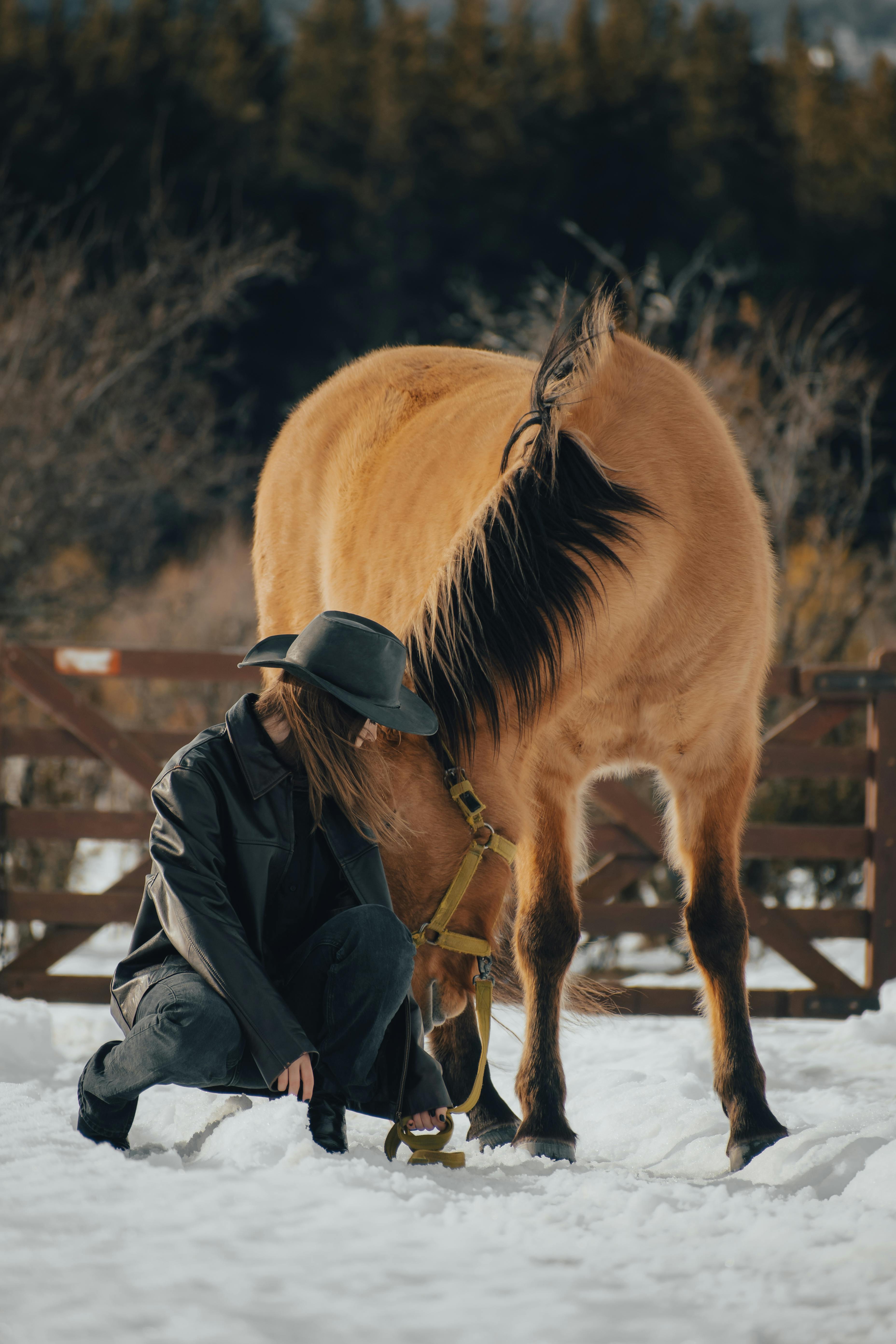 A woman in a hat kneels beside a brown horse in a snowy fenced pasture.