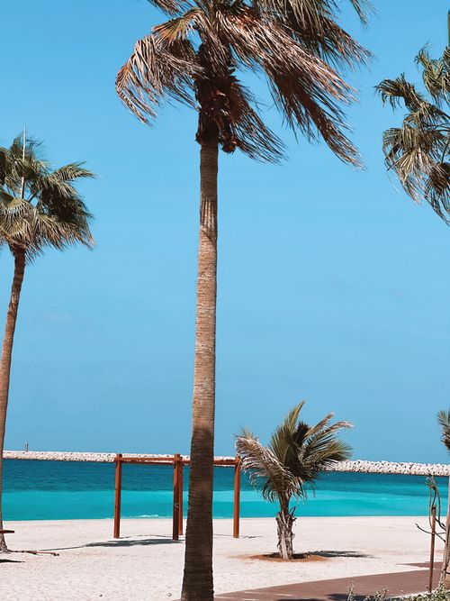Free A serene tropical beach with palm trees and clear blue skies, evoking a relaxing summer vibe. Stock Photo