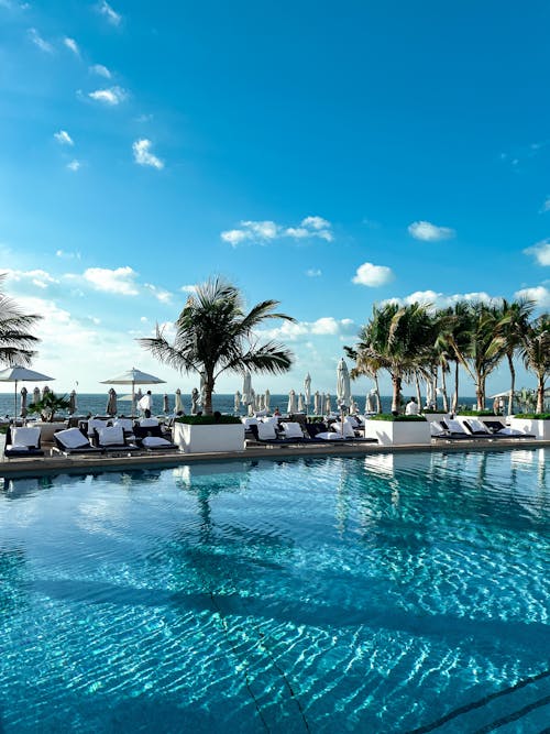 The pool at the miami beach hotel