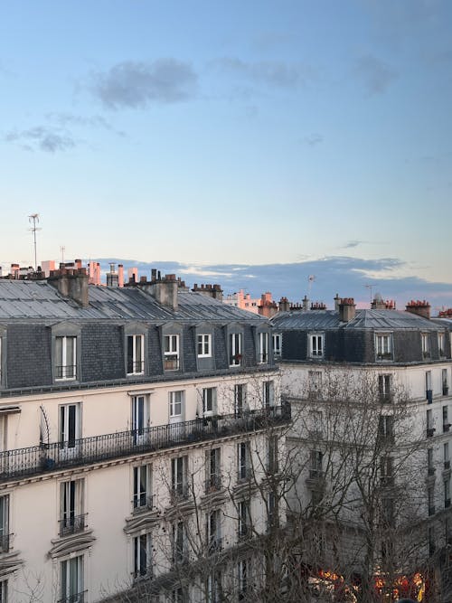 A view of the rooftops of paris from a balcony
