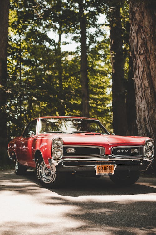 Free A red classic car parked in the woods Stock Photo