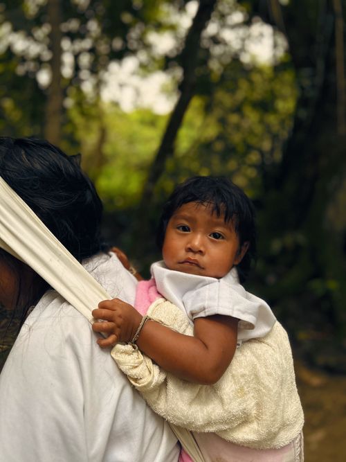 Free A tender moment of a mother carrying her child in a forest, emphasizing close familial bonds. Stock Photo