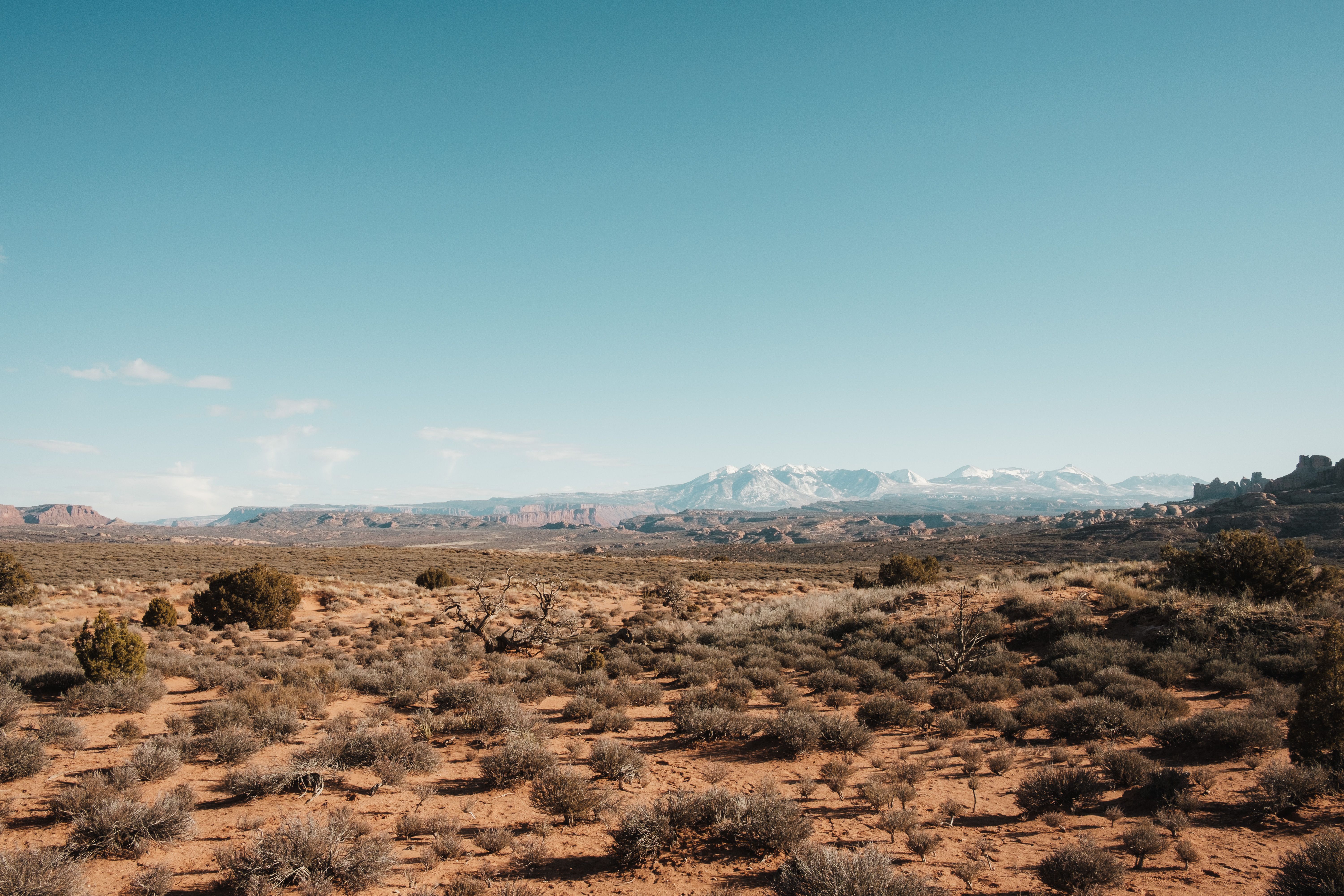 Moab