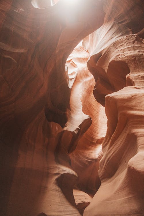 Immagine gratuita di antelope canyon, antilope, arenaria