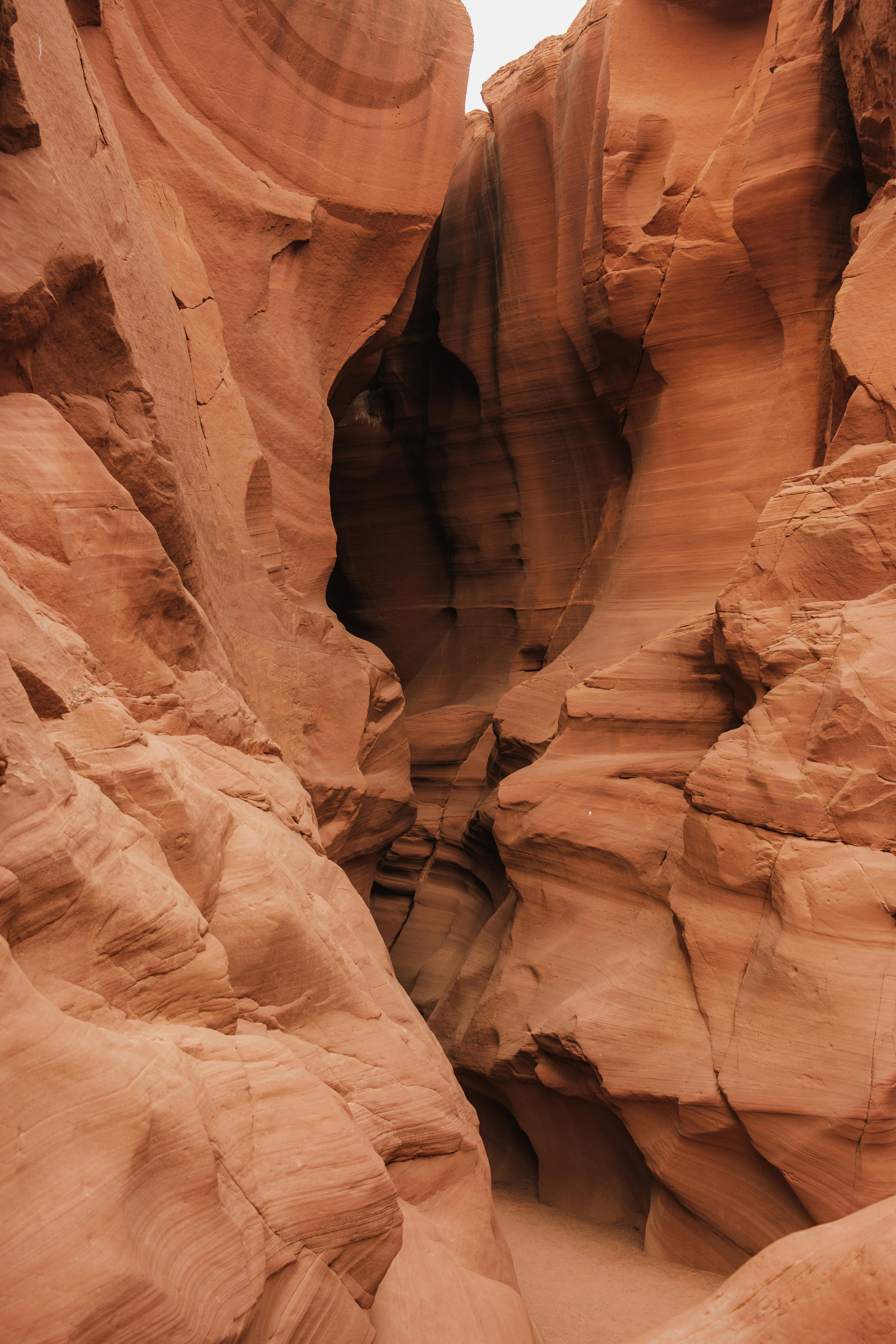 orange rocks of the canyon