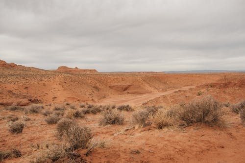 Immagine gratuita di antelope canyon, arenaria, arido