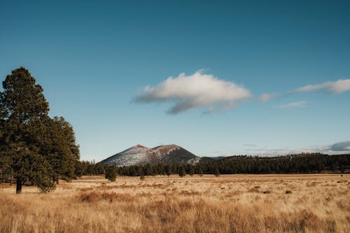 Free Hill behind Grassland Stock Photo