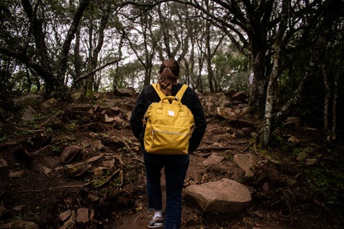 Perso in Black Clothes Carrying a Yellow Backpack