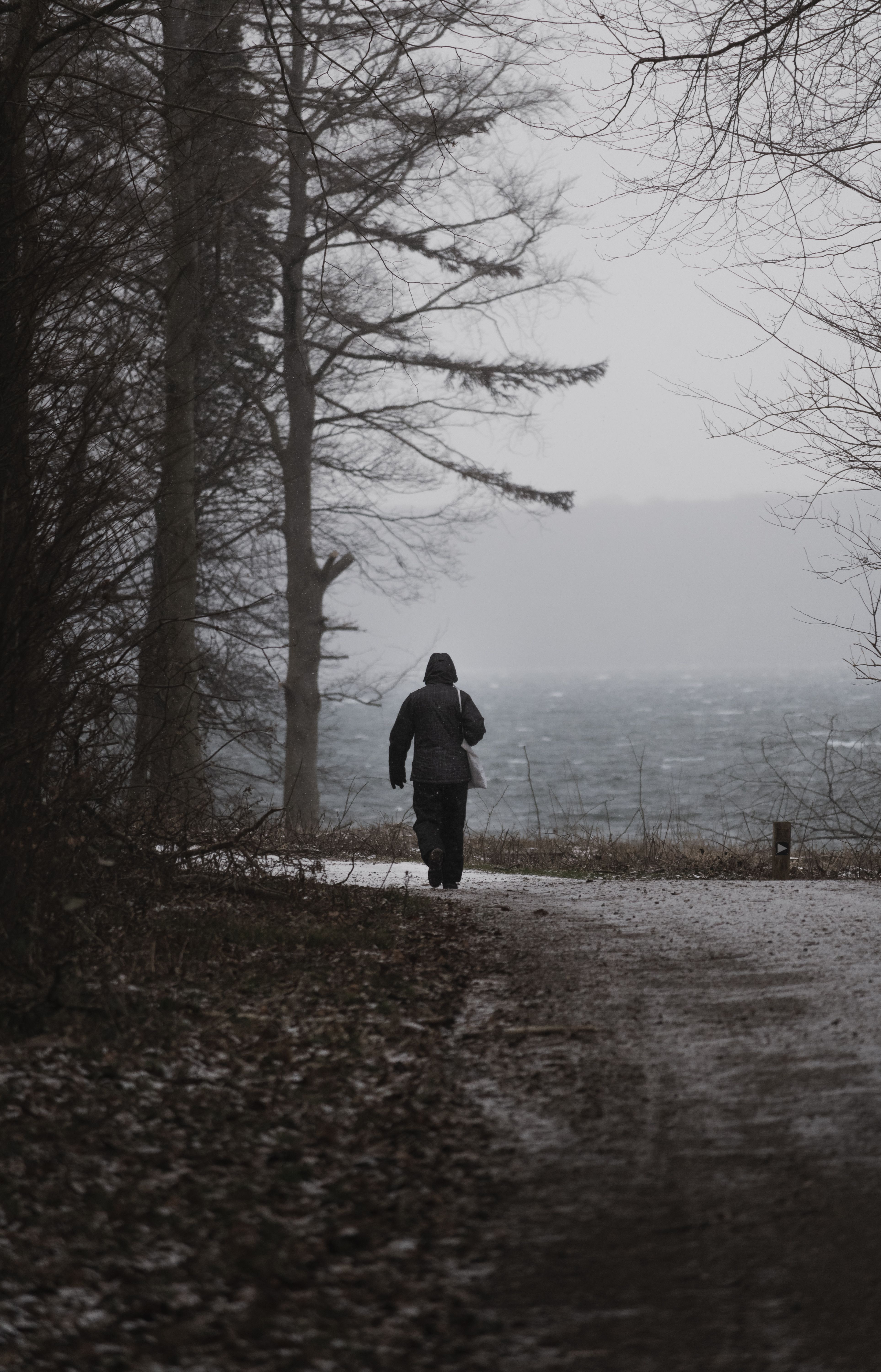 A person walking down a path in the woods · Free Stock Photo