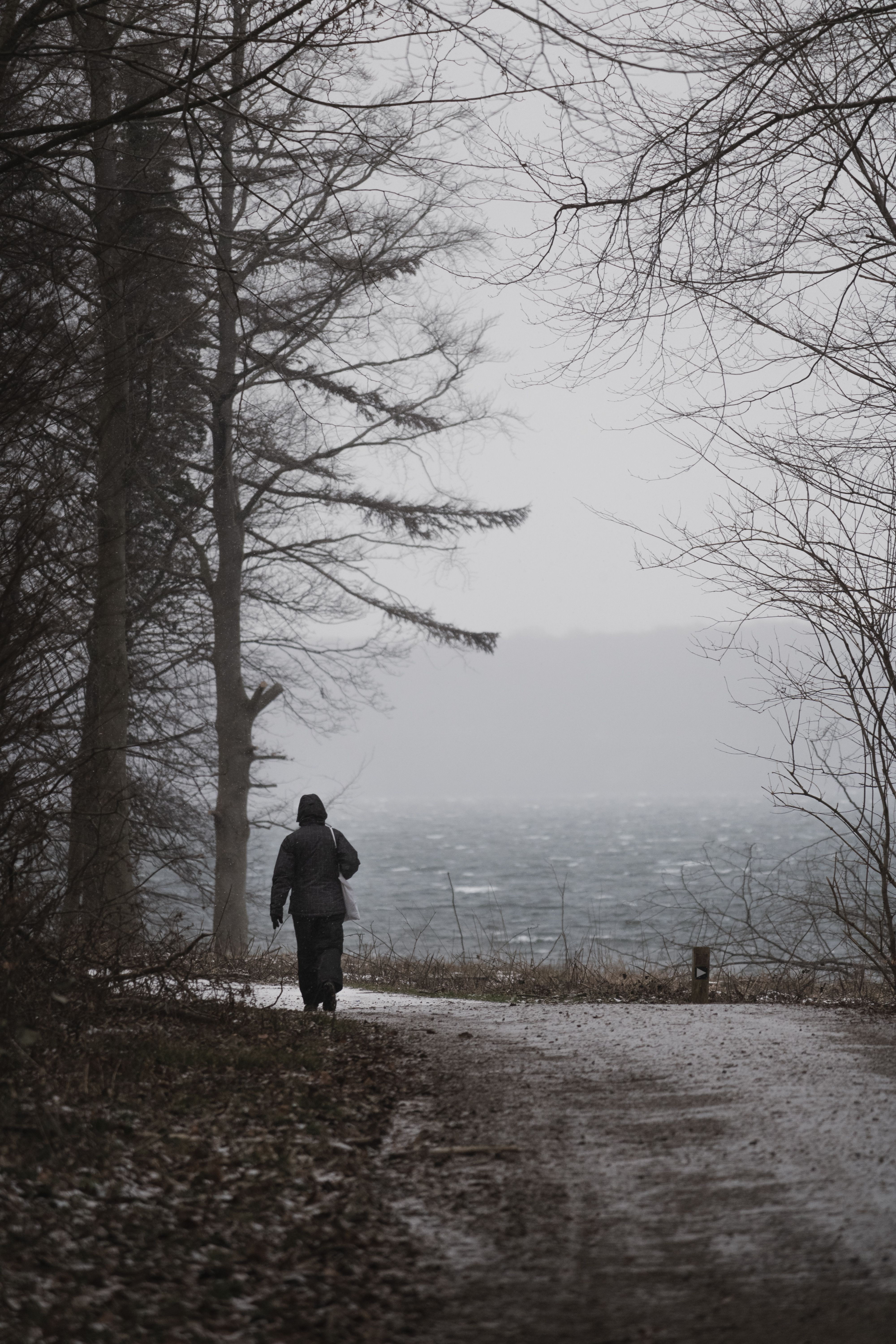 A person walking down a path in the woods · Free Stock Photo