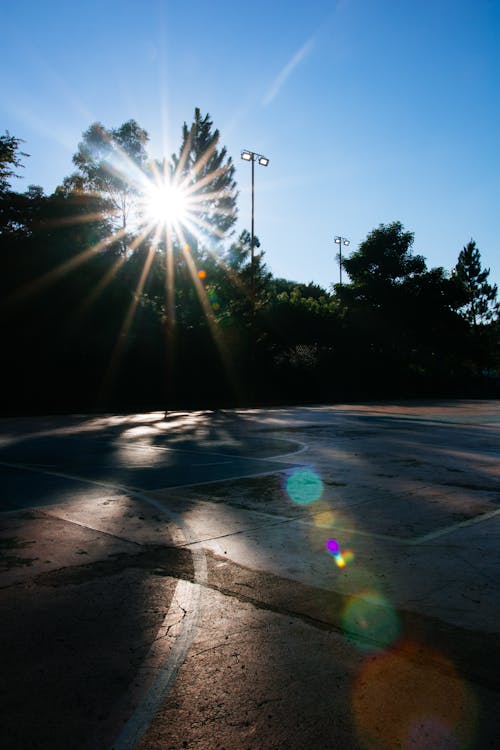 Gratis lagerfoto af basketballbane, retten, sol