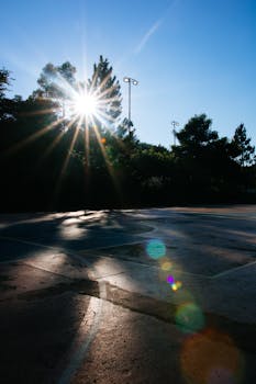 晨光透过树林，洒在宁静、阳光明媚的室外篮球场上